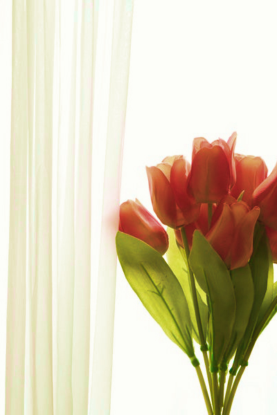 고1 고2반 수업 이미지