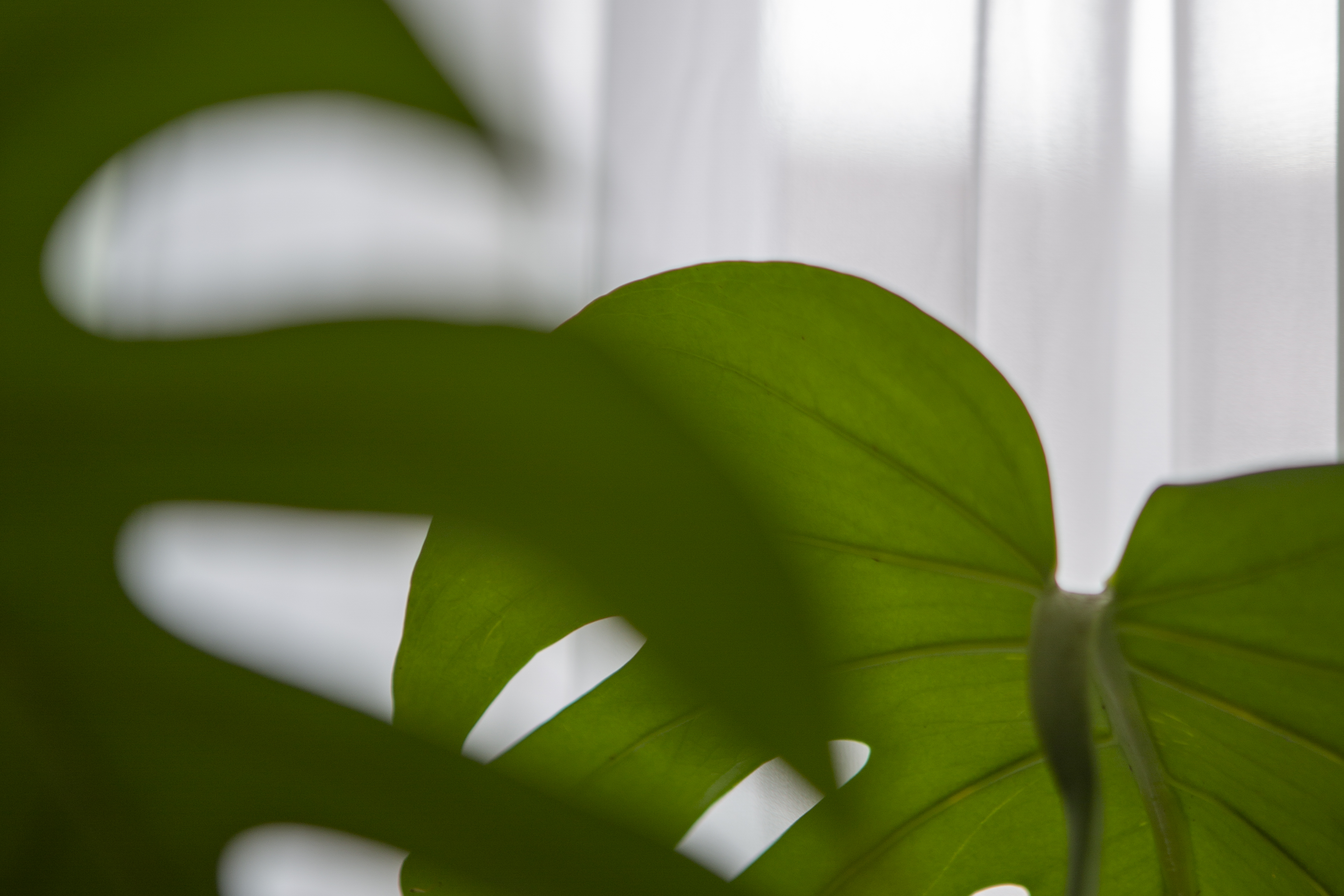 눈사진학원 차별화 된 커리큘럼 1단계 1:1수업