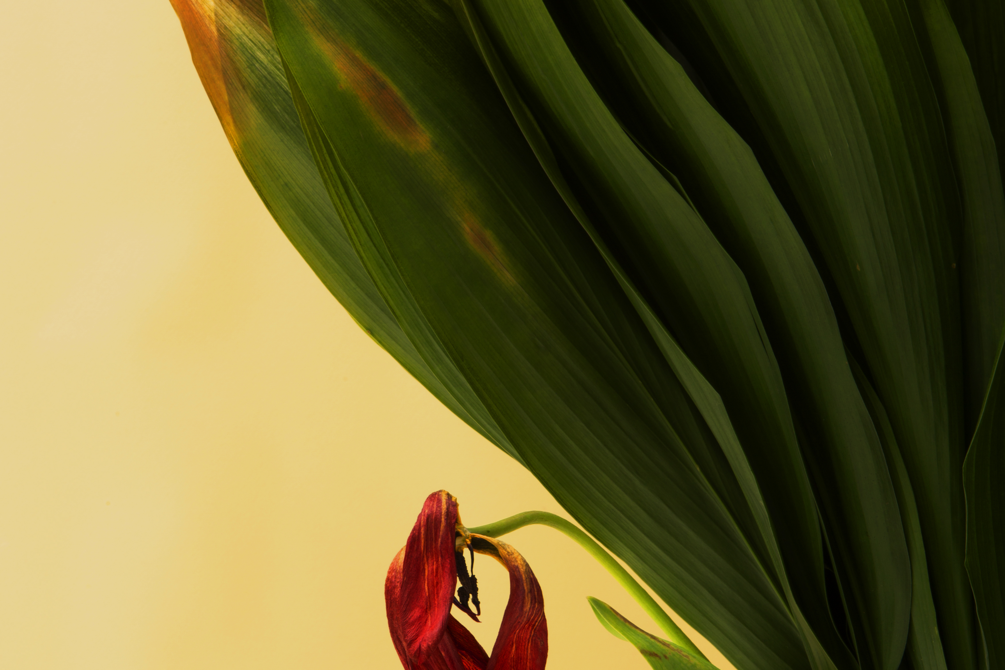 눈 사진학원의 사진입시 25년 경력 및 철학