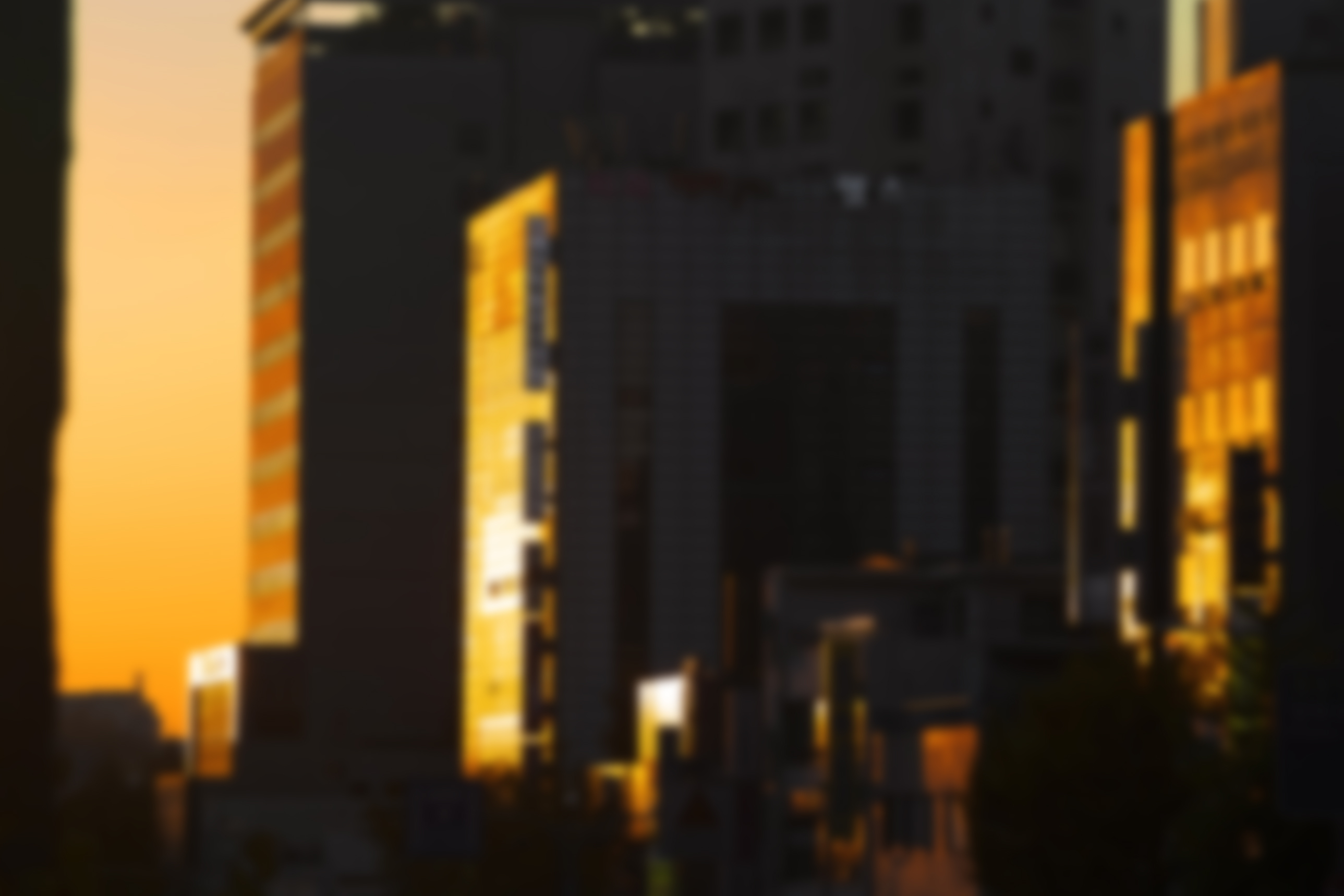 1:1 맞춤 수업으로 시작부터 다른 사진입시 준비