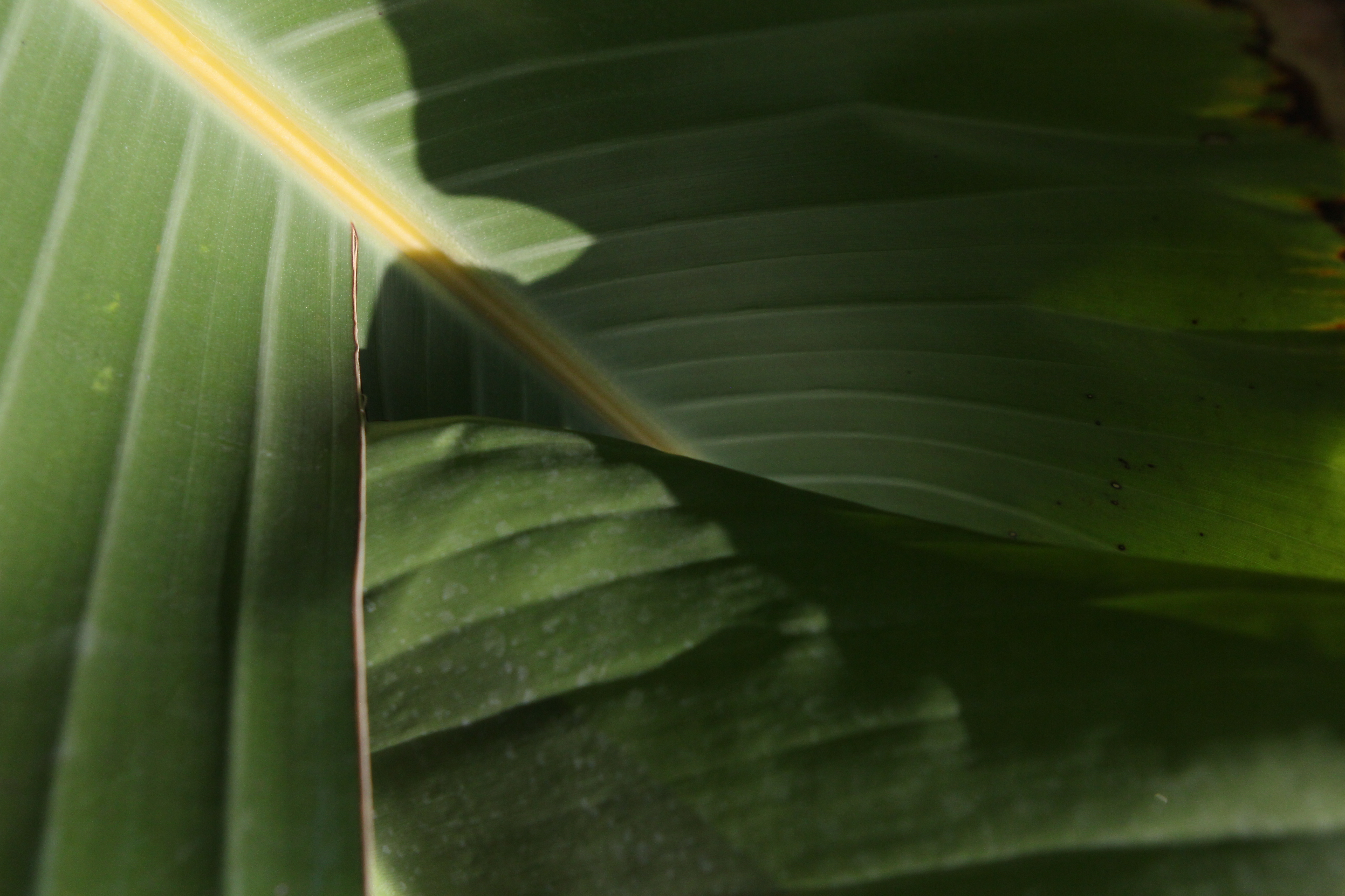 촬영 실기 및 포트폴리오 기반 제작 이미지